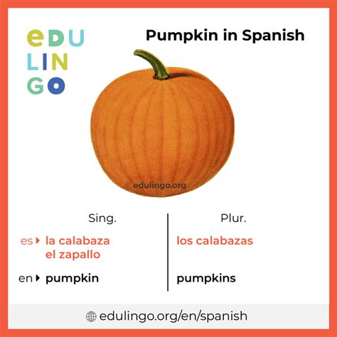Pumpkin in spanisj